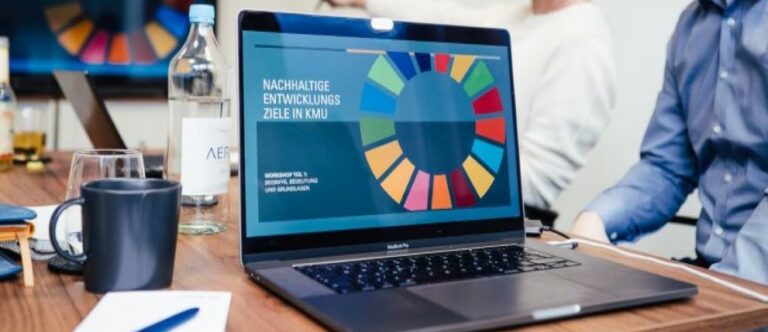 Read more about the article SDG Workshop bei DIMATE